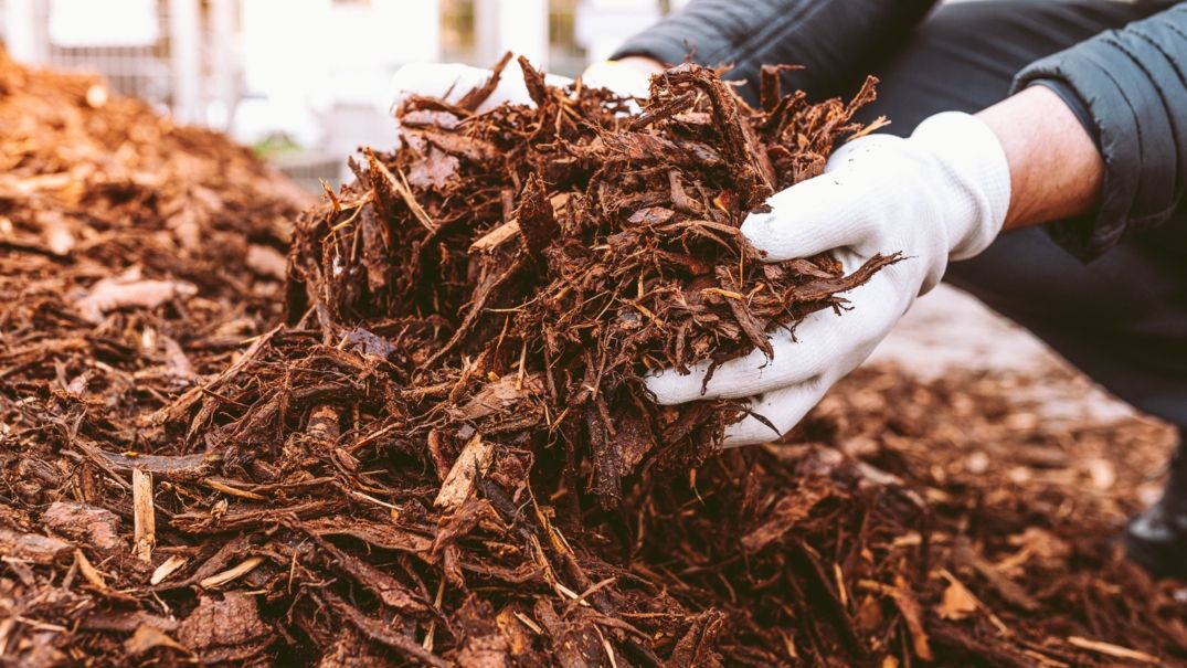 The Benefits of Mulching: Enhancing Soil Health and Nutrient Retention