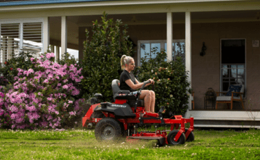 Lawn Care Basics For Beginners