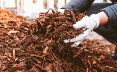 The Benefits of Mulching: Enhancing Soil Health and Nutrient Retention