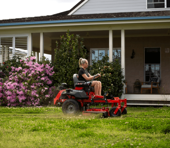 Lawn Care Basics For Beginners