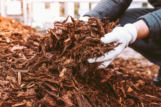 The Benefits of Mulching: Enhancing Soil Health and Nutrient Retention